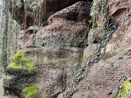 24-02-28 10-56-07 8762